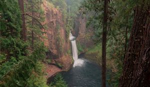 Preview wallpaper forest, trees, cliff, waterfall, landscape, nature