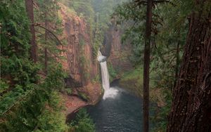 Preview wallpaper forest, trees, cliff, waterfall, landscape, nature