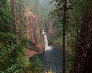 Preview wallpaper forest, trees, cliff, waterfall, landscape, nature