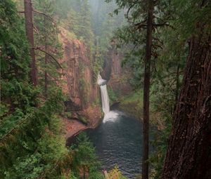 Preview wallpaper forest, trees, cliff, waterfall, landscape, nature