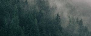 Preview wallpaper forest, trees, cloud, lake, shore, nature