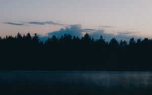 Preview wallpaper forest, trees, clouds, twilight, reflection