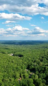 Preview wallpaper forest, trees, clouds, sky, landscape, aerial view