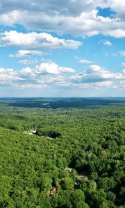 Preview wallpaper forest, trees, clouds, sky, landscape, aerial view