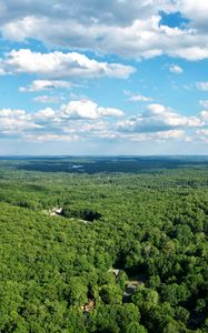 Preview wallpaper forest, trees, clouds, sky, landscape, aerial view