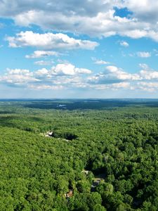 Preview wallpaper forest, trees, clouds, sky, landscape, aerial view