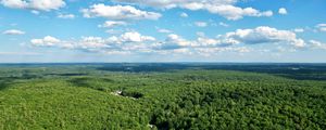 Preview wallpaper forest, trees, clouds, sky, landscape, aerial view