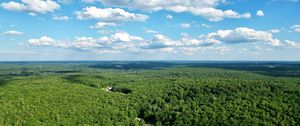 Preview wallpaper forest, trees, clouds, sky, landscape, aerial view