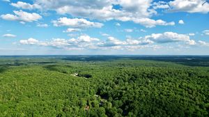 Preview wallpaper forest, trees, clouds, sky, landscape, aerial view