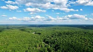 Preview wallpaper forest, trees, clouds, sky, landscape, aerial view