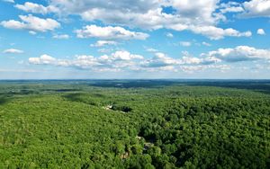 Preview wallpaper forest, trees, clouds, sky, landscape, aerial view