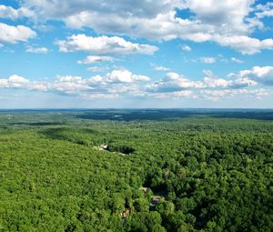 Preview wallpaper forest, trees, clouds, sky, landscape, aerial view