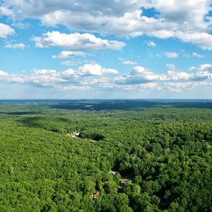 Preview wallpaper forest, trees, clouds, sky, landscape, aerial view