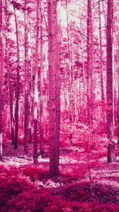 Preview wallpaper forest, trees, effect, pink