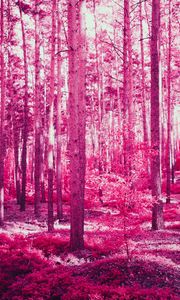 Preview wallpaper forest, trees, effect, pink