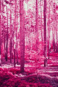 Preview wallpaper forest, trees, effect, pink