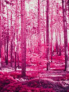 Preview wallpaper forest, trees, effect, pink