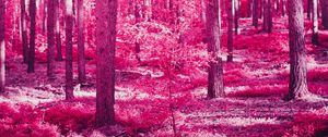 Preview wallpaper forest, trees, effect, pink