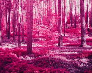 Preview wallpaper forest, trees, effect, pink