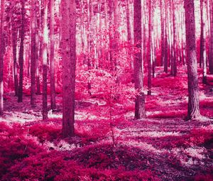 Preview wallpaper forest, trees, effect, pink