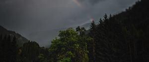 Preview wallpaper forest, trees, field, clouds, rainbow, landscape