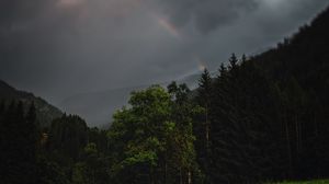 Preview wallpaper forest, trees, field, clouds, rainbow, landscape