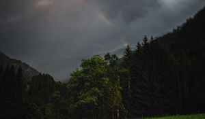 Preview wallpaper forest, trees, field, clouds, rainbow, landscape