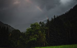 Preview wallpaper forest, trees, field, clouds, rainbow, landscape