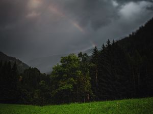 Preview wallpaper forest, trees, field, clouds, rainbow, landscape