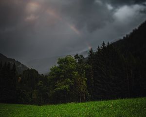 Preview wallpaper forest, trees, field, clouds, rainbow, landscape