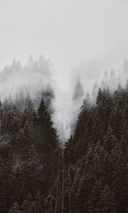 Preview wallpaper forest, trees, fog, crowns, tops, cable car
