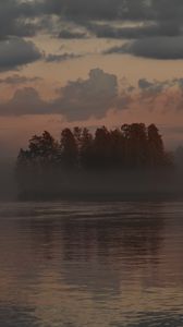 Preview wallpaper forest, trees, fog, lake, twilight, landscape