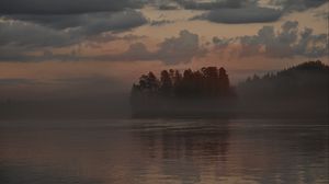 Preview wallpaper forest, trees, fog, lake, twilight, landscape