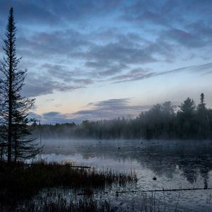 Preview wallpaper forest, trees, fog, lake, nature, landscape