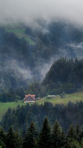 Preview wallpaper forest, trees, fog, house, aerial view, nature