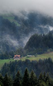 Preview wallpaper forest, trees, fog, house, aerial view, nature