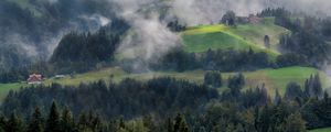 Preview wallpaper forest, trees, fog, house, aerial view, nature