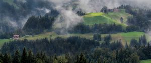 Preview wallpaper forest, trees, fog, house, aerial view, nature