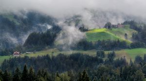 Preview wallpaper forest, trees, fog, house, aerial view, nature