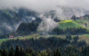 Preview wallpaper forest, trees, fog, house, aerial view, nature