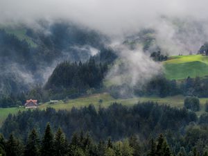 Preview wallpaper forest, trees, fog, house, aerial view, nature