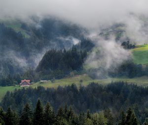 Preview wallpaper forest, trees, fog, house, aerial view, nature