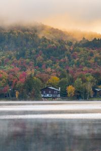 Preview wallpaper forest, trees, fog, house, lake, nature