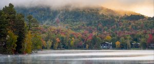 Preview wallpaper forest, trees, fog, house, lake, nature