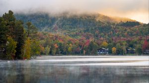 Preview wallpaper forest, trees, fog, house, lake, nature
