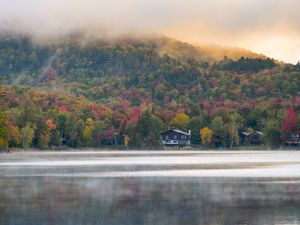 Preview wallpaper forest, trees, fog, house, lake, nature