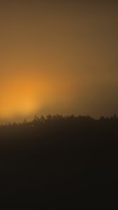 Preview wallpaper forest, trees, fog, nature, light