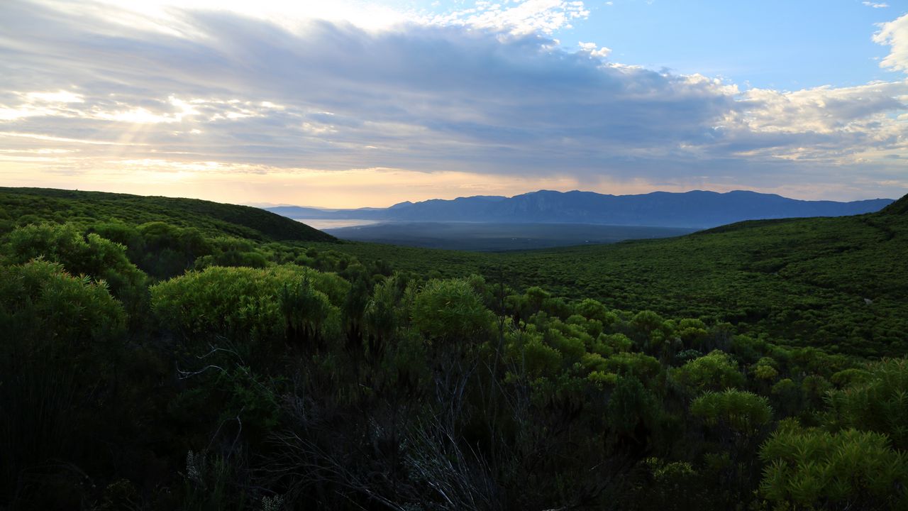 Wallpaper forest, trees, hills, clouds, landscape, nature