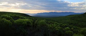 Preview wallpaper forest, trees, hills, clouds, landscape, nature