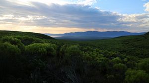 Preview wallpaper forest, trees, hills, clouds, landscape, nature